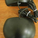 Pair wall sconces in black metal