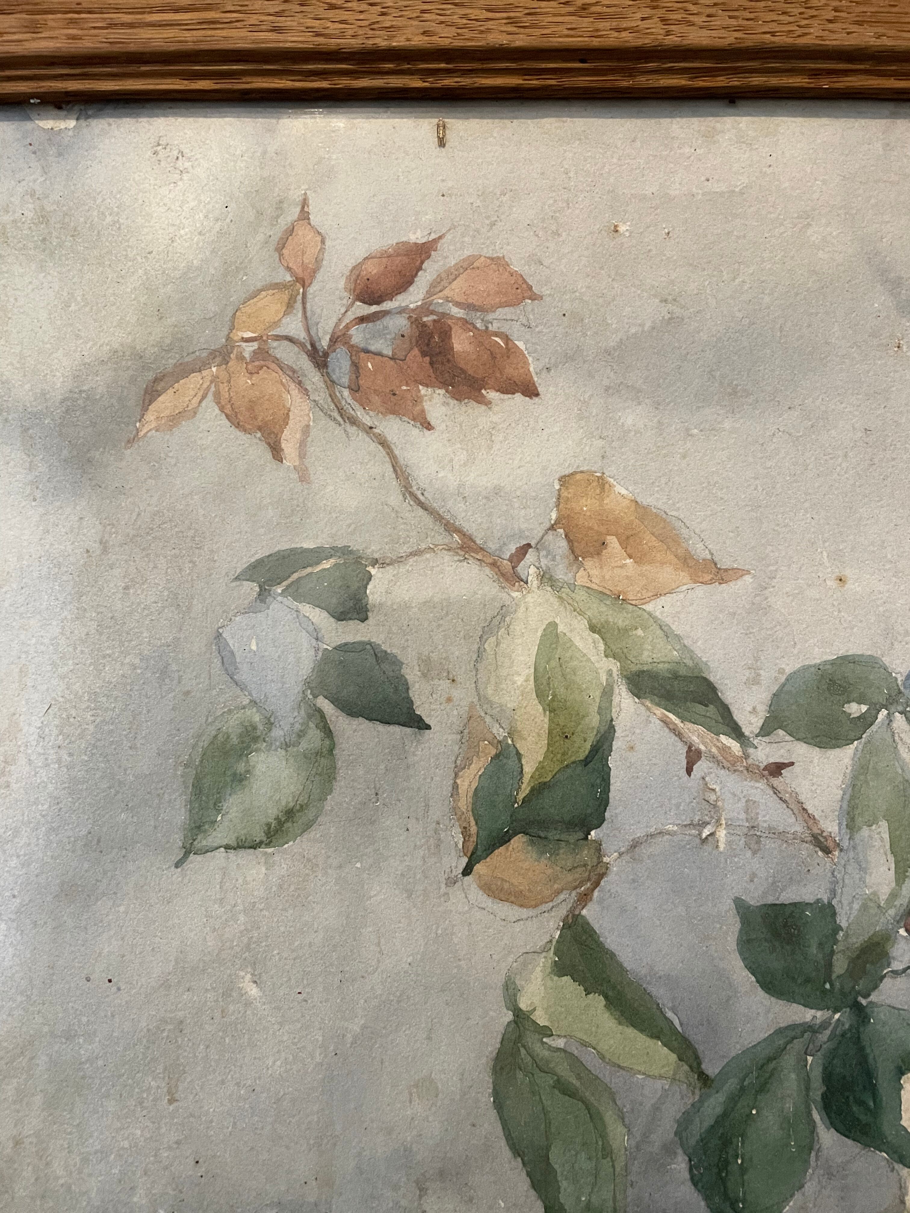 Watercolor painting signed Louise Boussac XIXth