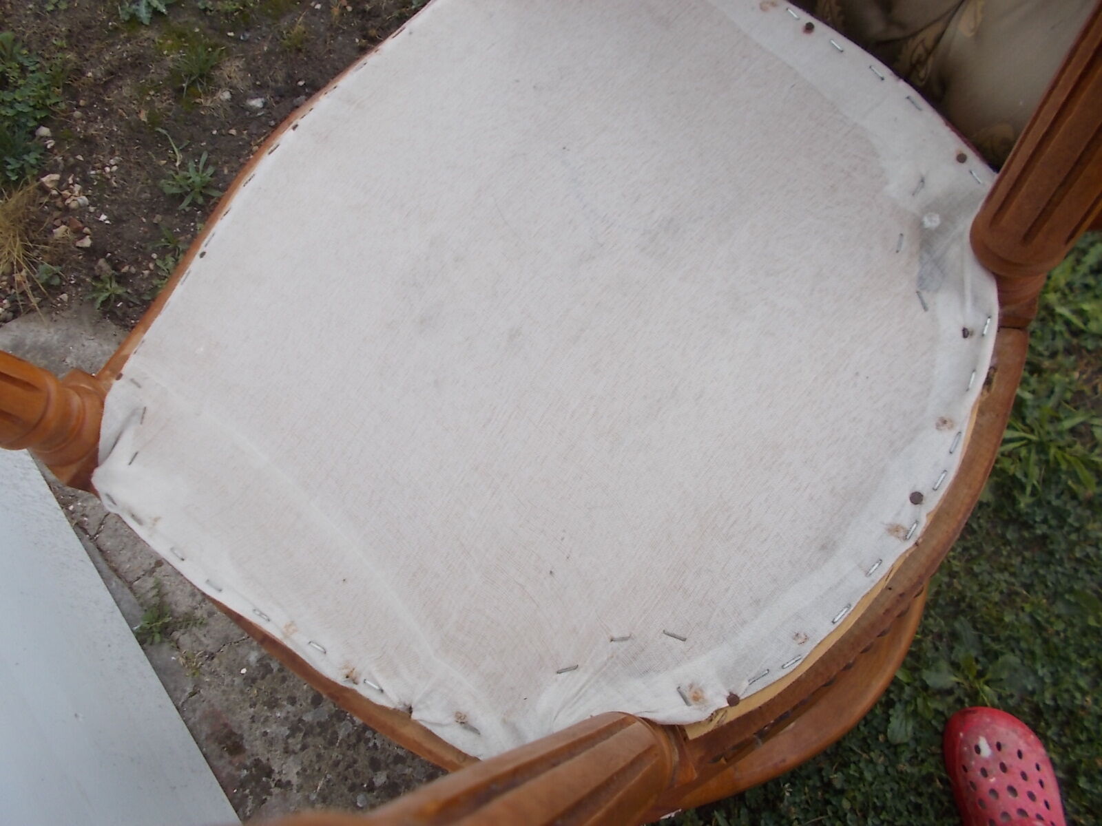 Paire chaises médaillon