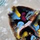 Fish serving dish Vallauris spirit