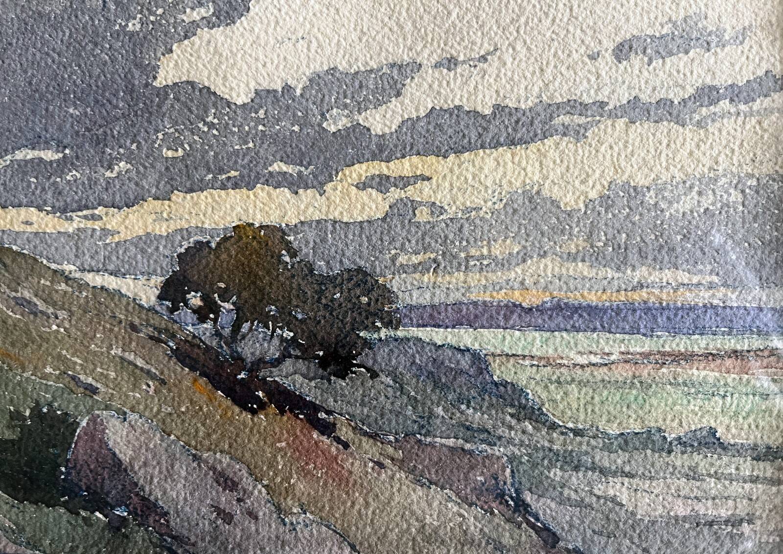 Watercolour painting "Wild Landscape" early 20th century + frame