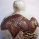 Art Deco ball vase signed Legras, acid-etched glass paste Vine decoration