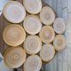Set of 12 flat plates in stoneware Niderviller model Fauve from the 1960s.