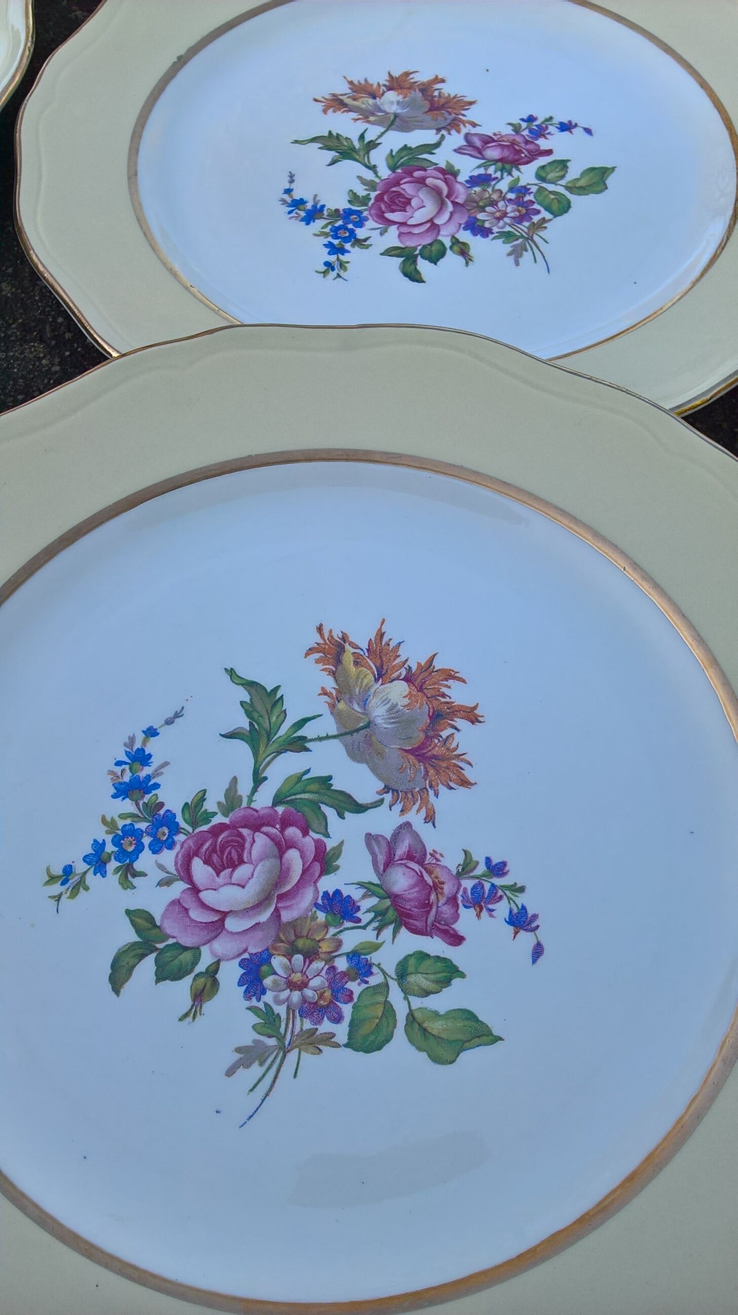 9 flat plates L'Amandinoise