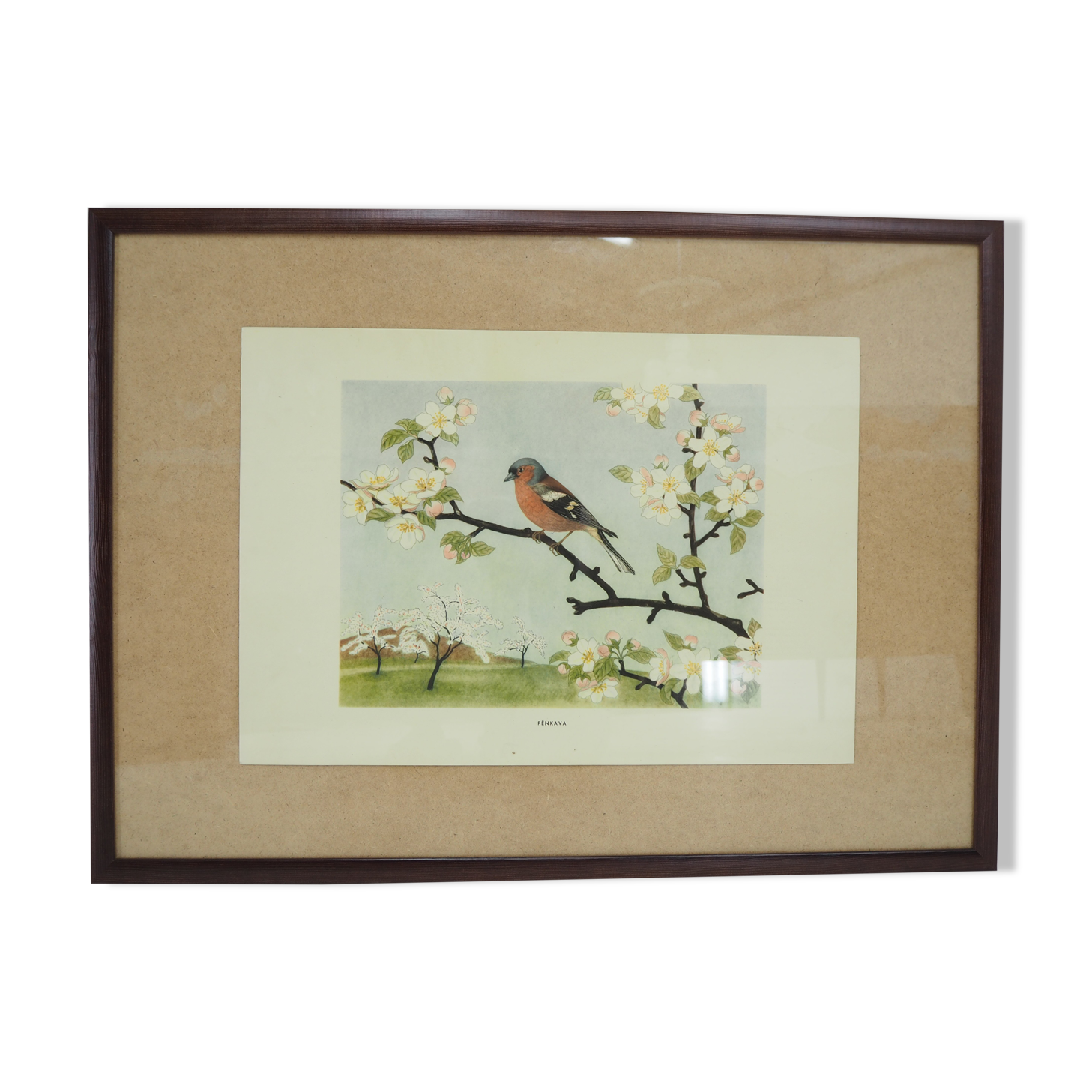 Midcentury School Poster, Czechoslovakia, 1960s