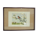 Midcentury School Poster, Czechoslovakia, 1960s