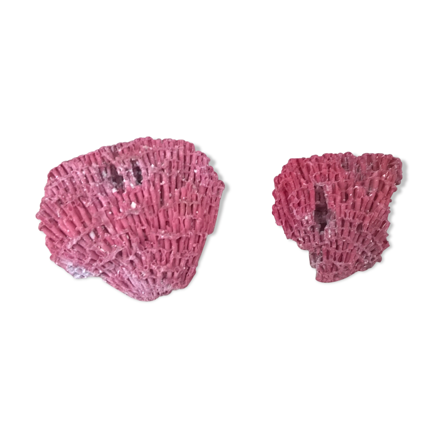 Vintage red coral duo