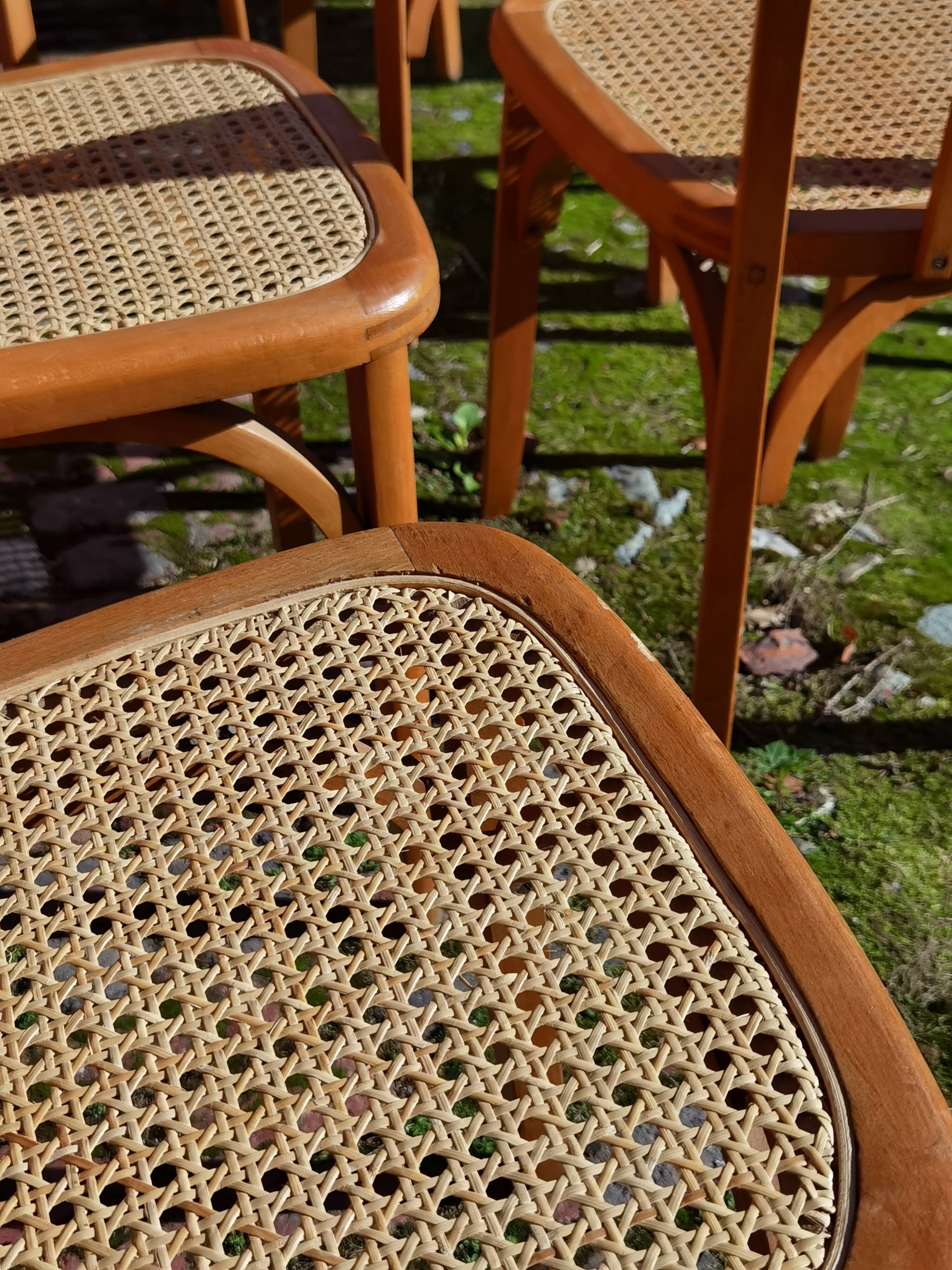 Lot of Stella cane chairs