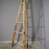 Fir and beech staircase