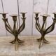 Brass art nouveau chandeliers