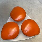 Vintage resin bench 1970