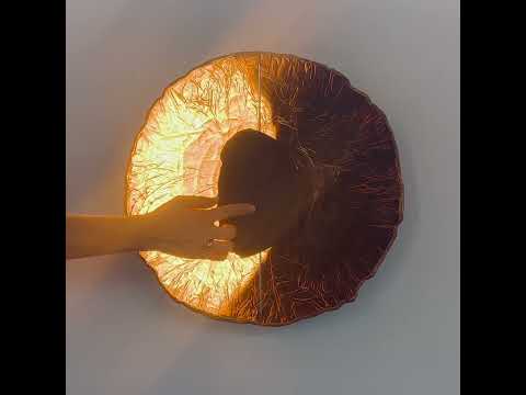 Waki - wall light