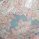 Vintage floral patterned shallow dish
