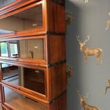 Antique Globe Wernicke bookcase