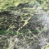 Vintage green sea marble and rosewood table from the 1970s.