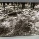 Silver gelatin photograph by Bernard Darot, Fougères, 20th century