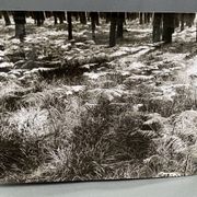 Silver gelatin photograph by Bernard Darot, Fougères, 20th century