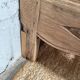 Confiturier / small sideboard