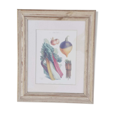 Framed botanical plank, vegetables