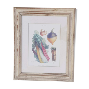 Framed botanical plank, vegetables