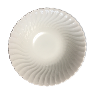 Salad bowl