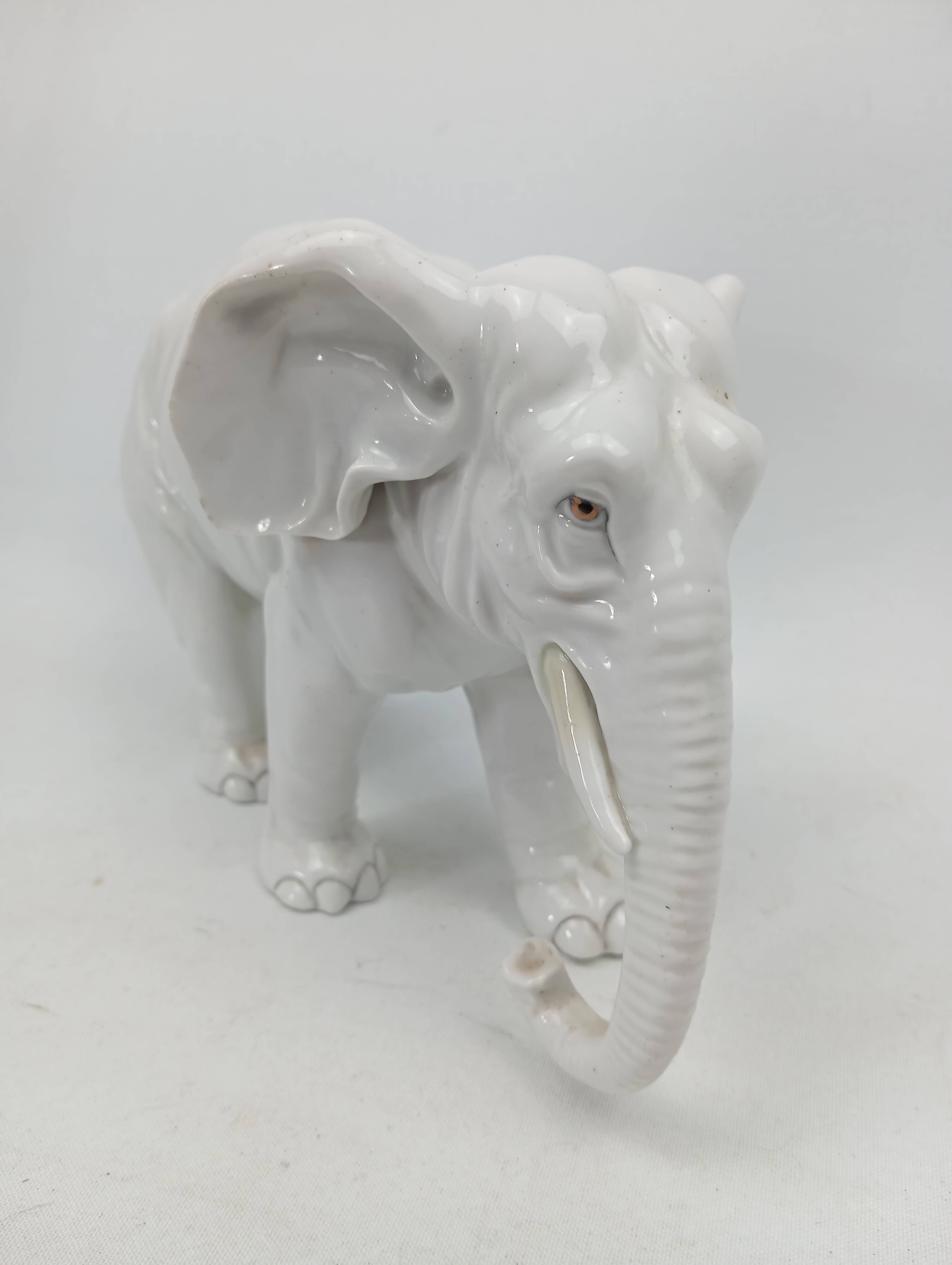 Capodimonte ceramic elephant 18-19th century (broken ears)