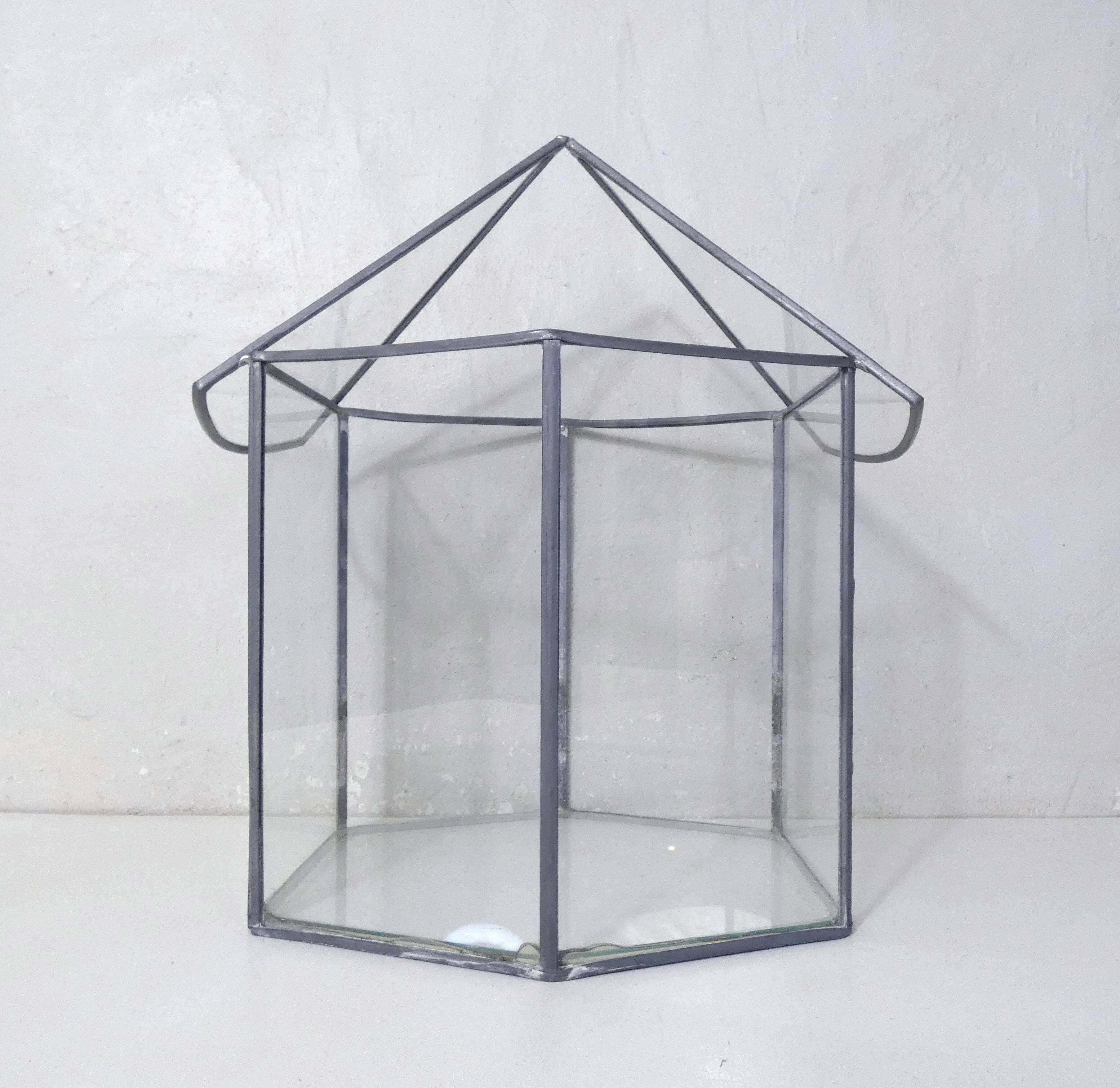 Glass terrarium mini cactus greenhouse in glass and metal