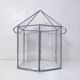 Verrière terrarium mini serre à cactus en verre et métal
