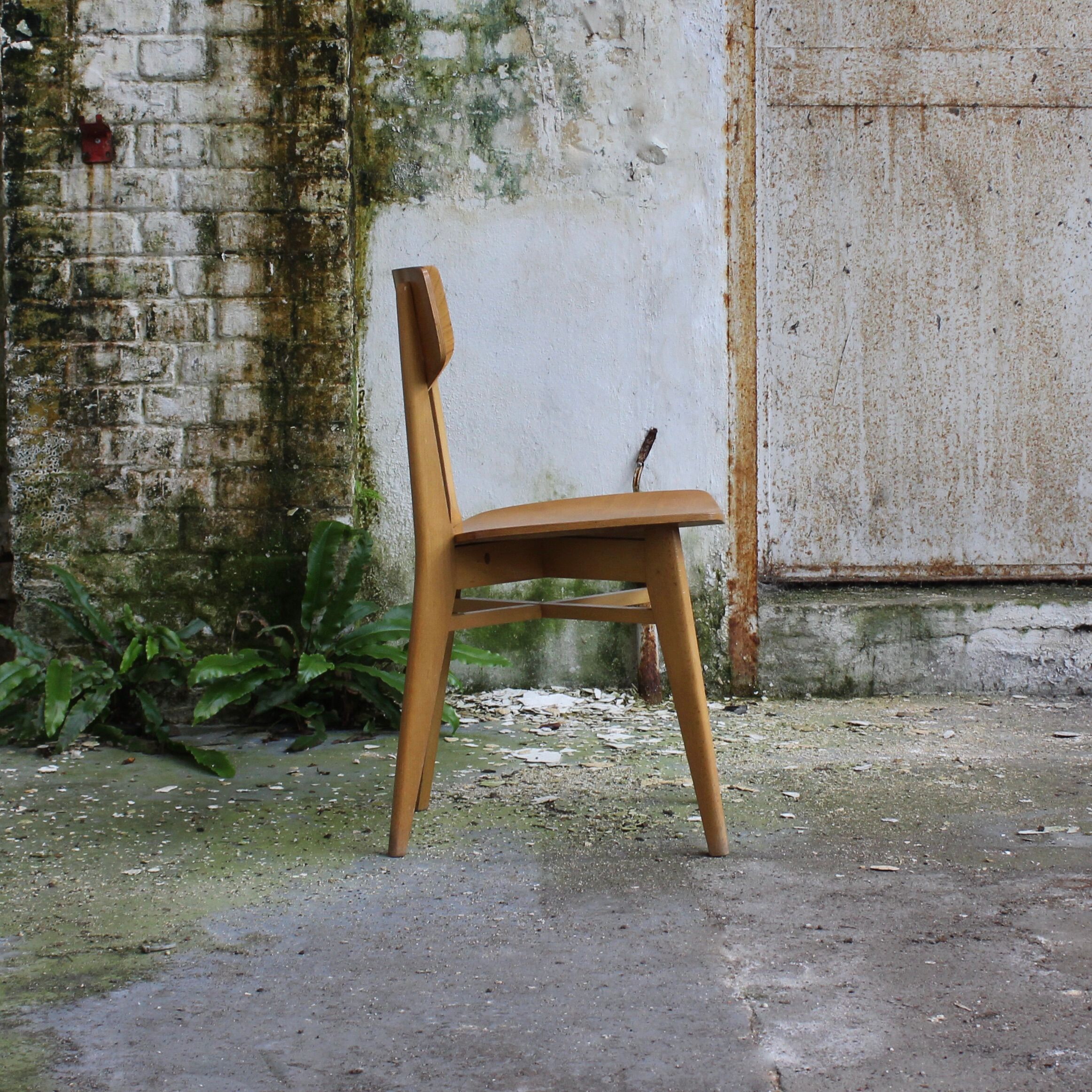 Suite of 4 chairs 1960