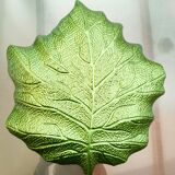 Flat leaf