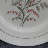 Lot de 6 assiettes plates en faïence de saint amand. modèle beauce.