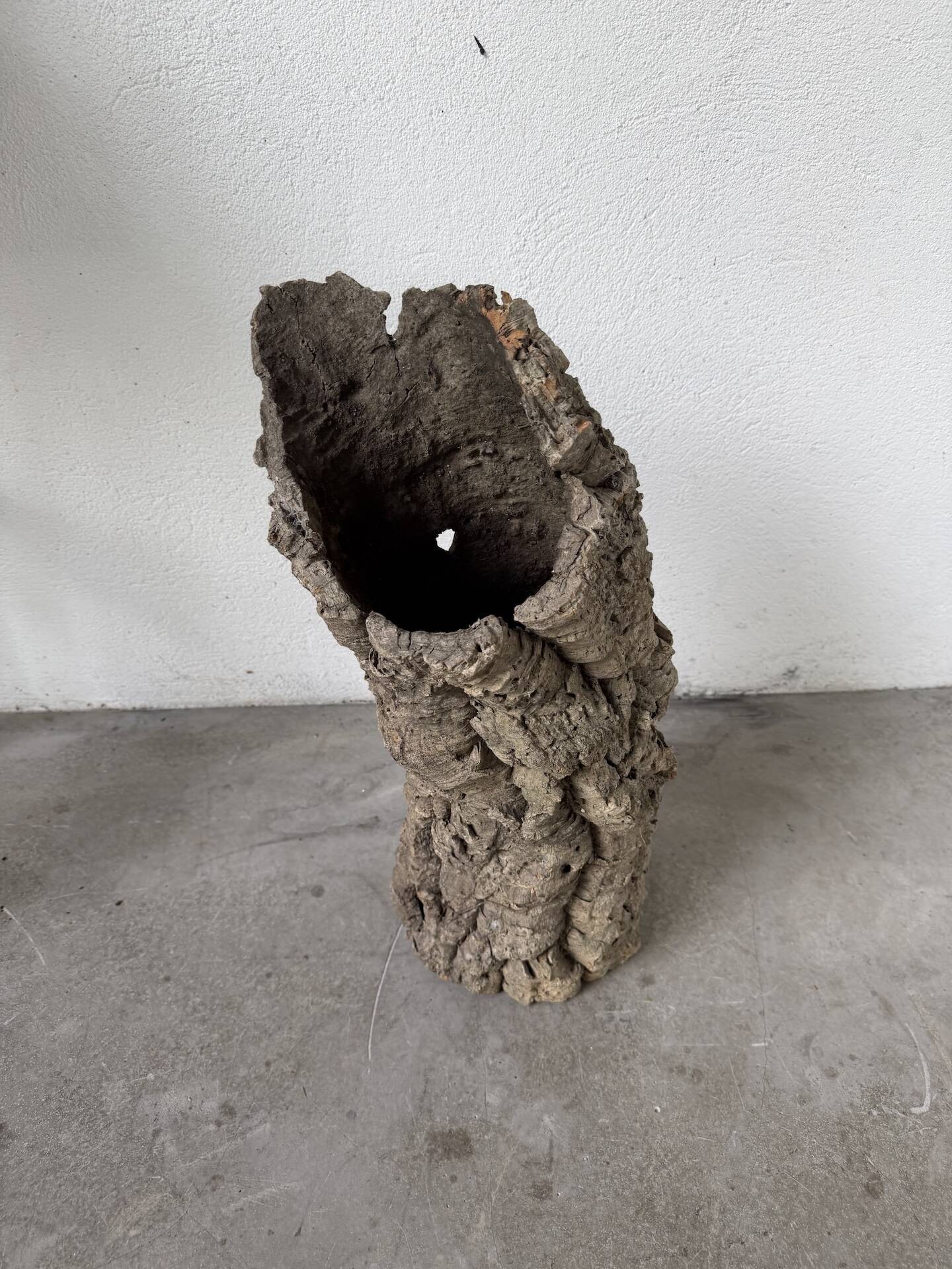 XL cork bark vase