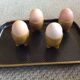 Series of 4 cockroaches