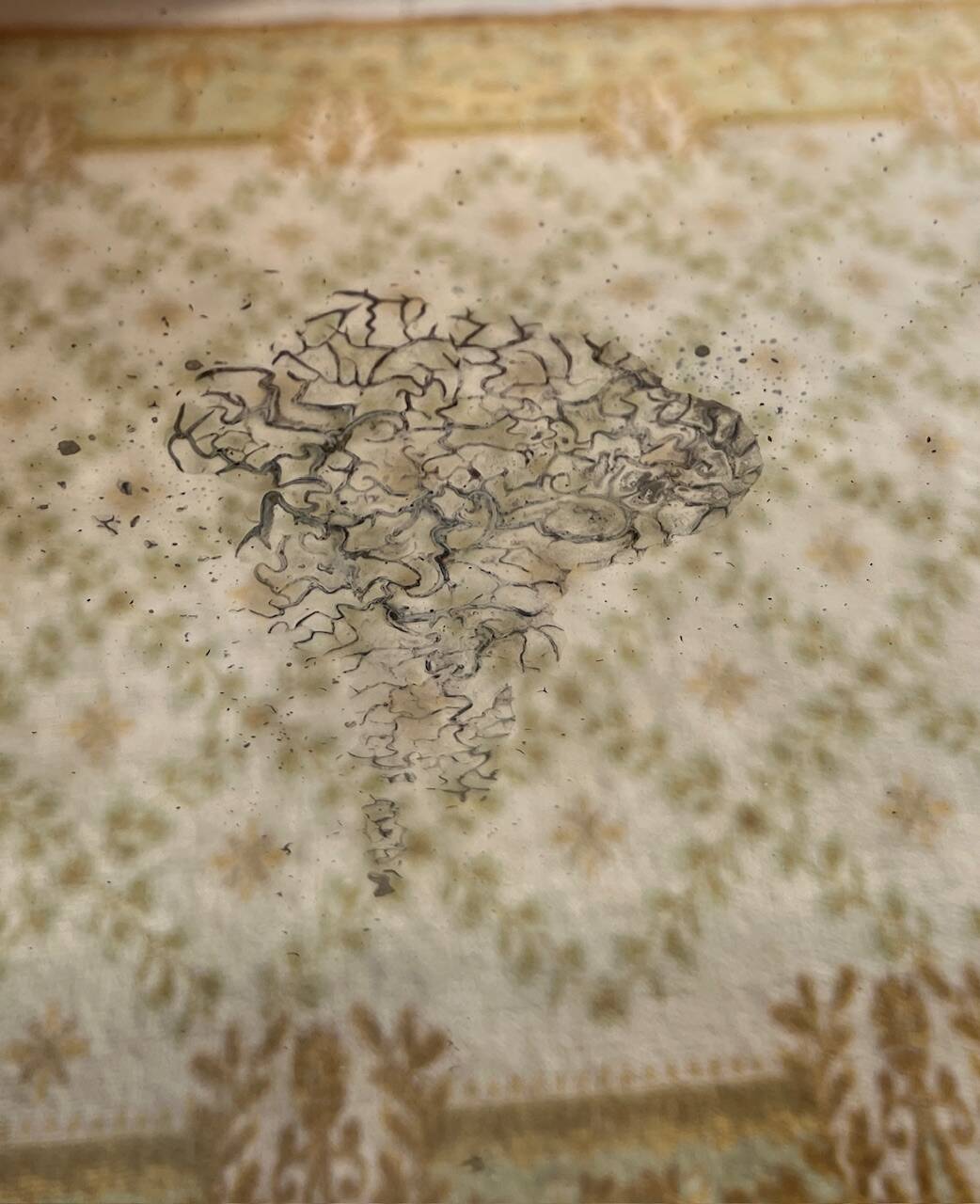 19th century carved solid oak mirror