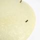 Extremely rare large round Mid Century Modern fiberglass ceiling lamp | Ø 5