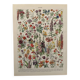 Vintage illustrated plate of flowers (annuals and biennials) – 1930