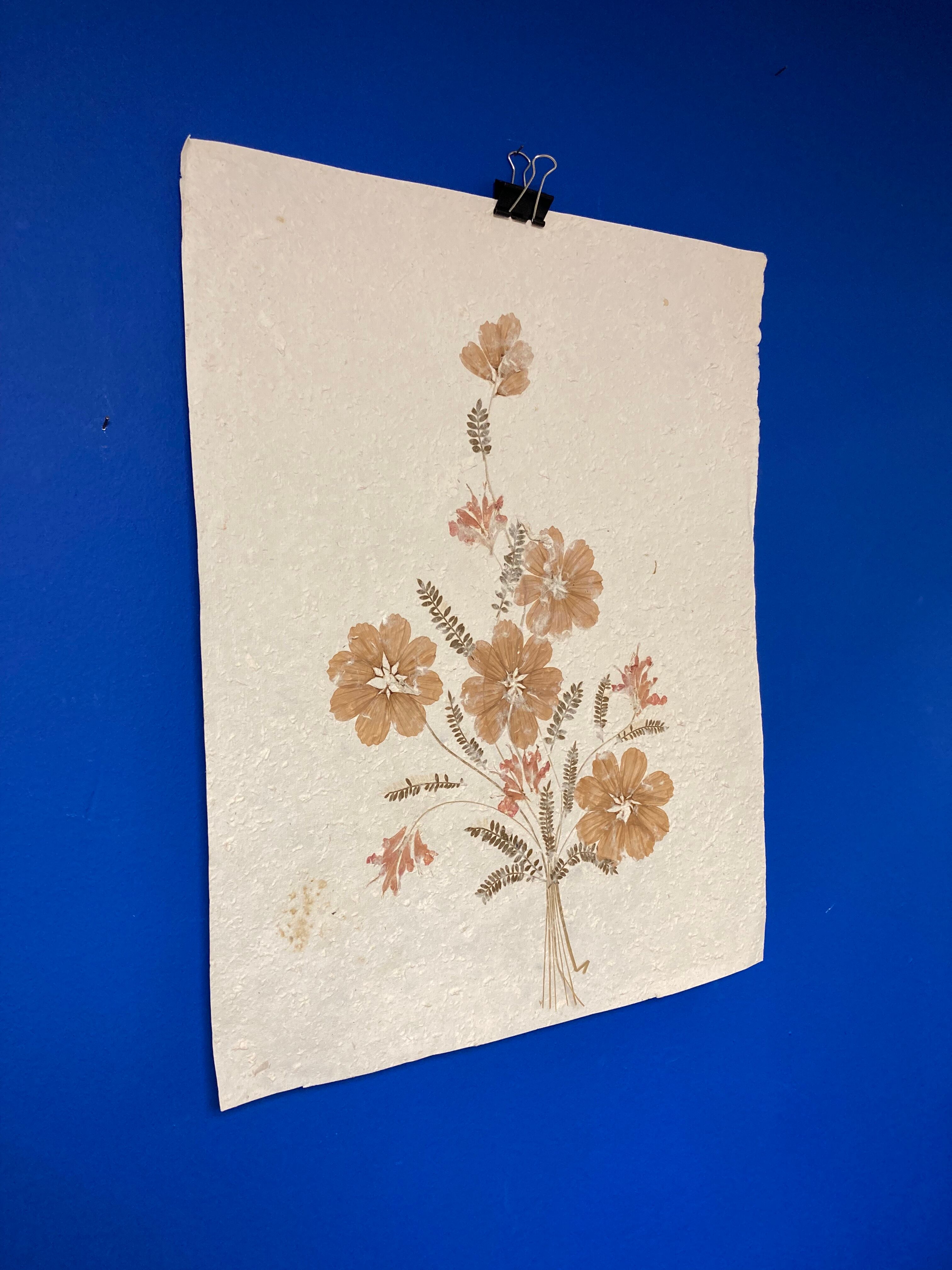Planche fleurs séchées