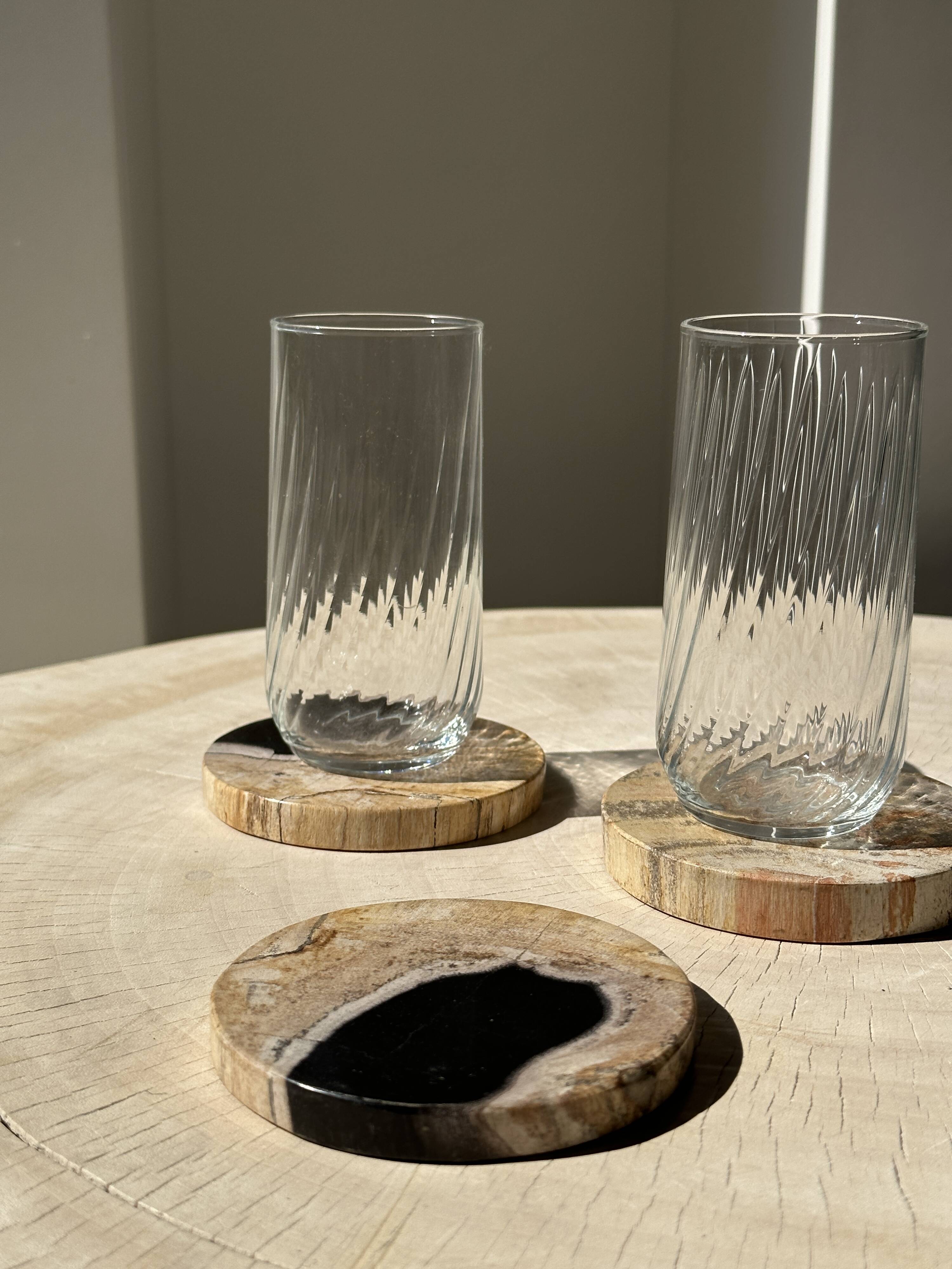 Set of 3 fossilized wood coasters (clear)