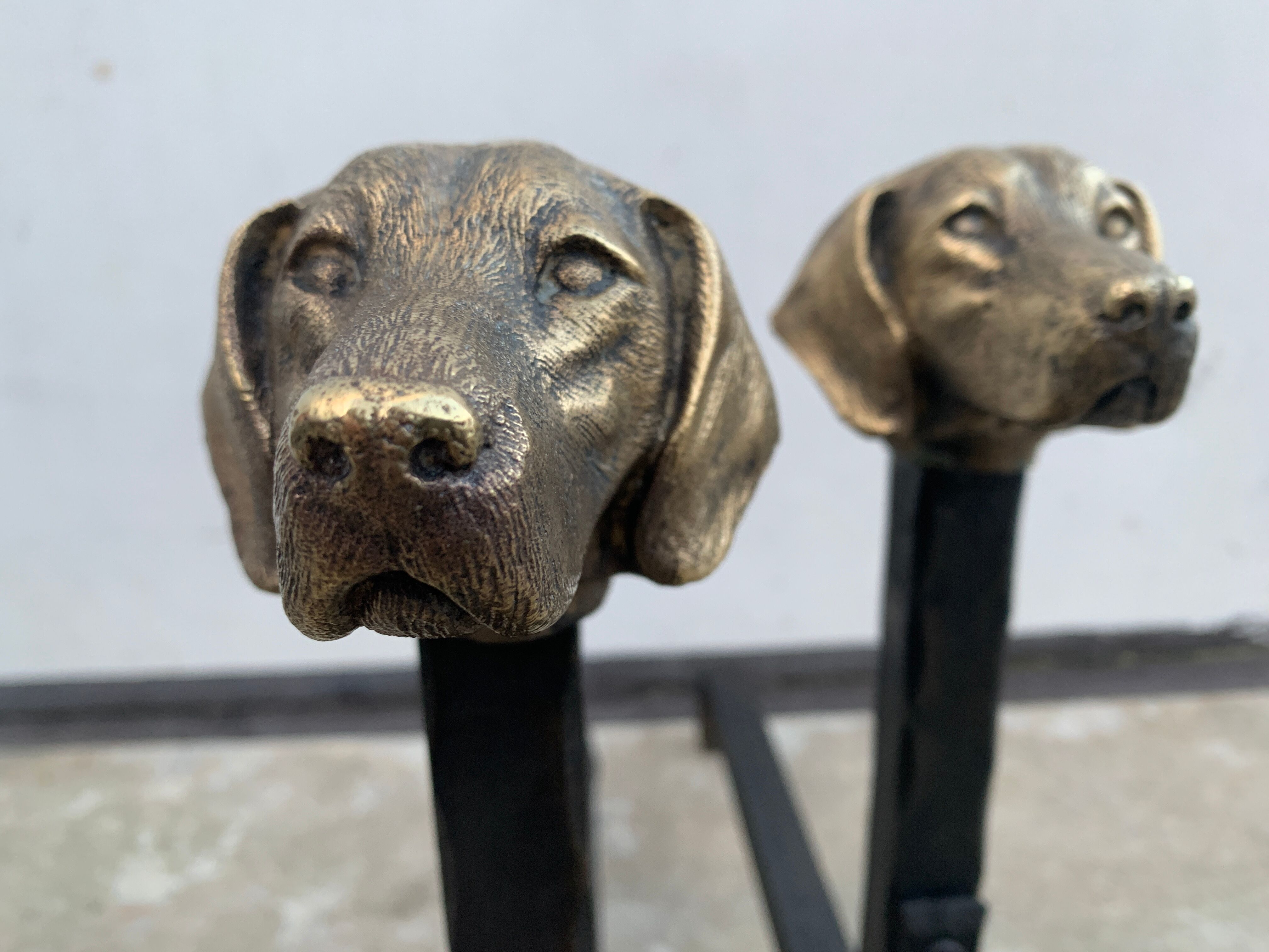 Pair of metal chenets decorated with brass dog heads