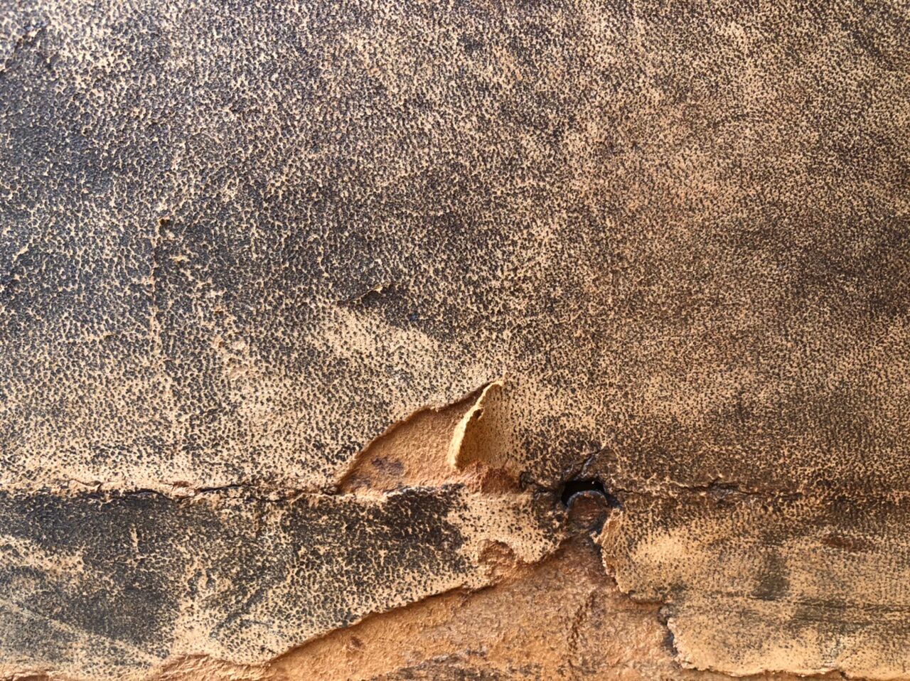 Pair of club armchairs 1920