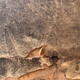 Pair of club armchairs 1920