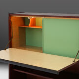 Cabinet du milieu du siècle 1960