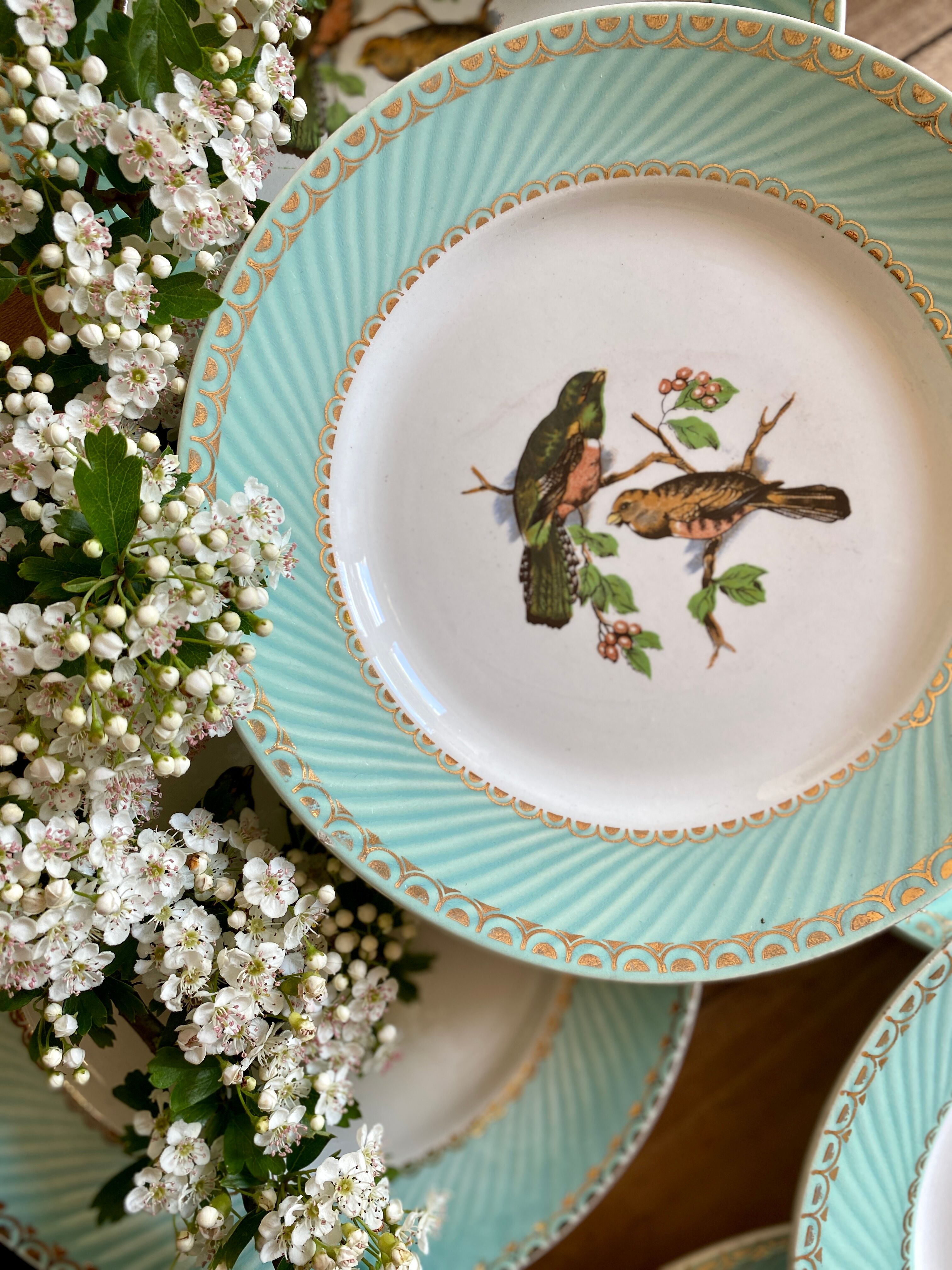 Set of 10 vintage flat plates with bird drawings