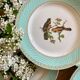 Set of 10 vintage flat plates with bird drawings