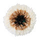 Juju Hat beige 50 cm