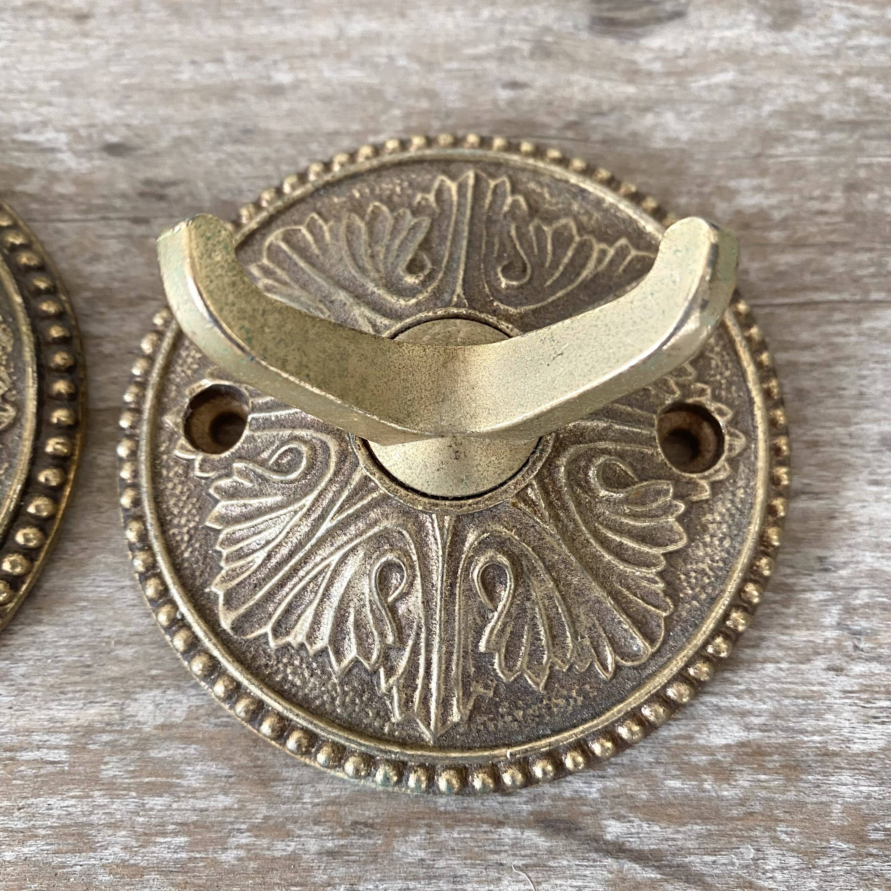 Double brass coat hooks