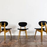 Mid-century chairs, GFM 22 by J. Kędziorek, Poland, 1960s, set of 3
