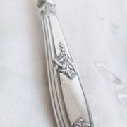 Silver and "horn" porridge spoon