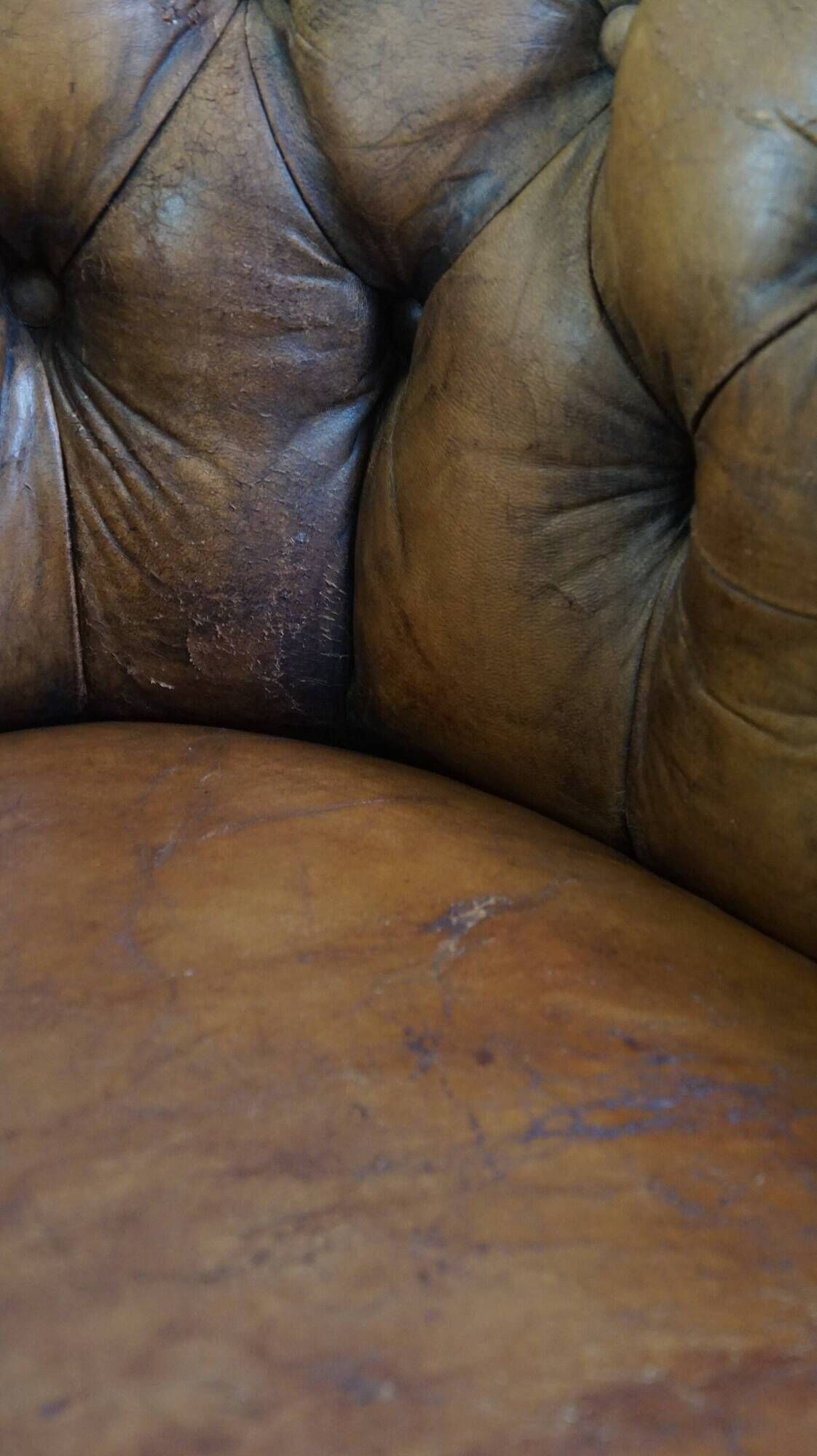 Antique, characteristic sheepskin chesterfield club chair on wheels