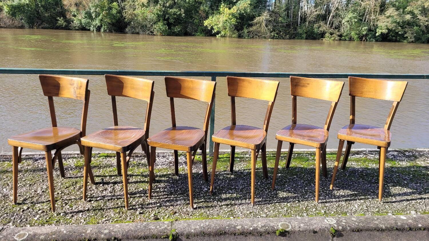 Series of 6 vintage old restaurant bistro chairs - 1950s